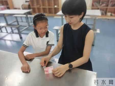 【喜报】数智赋能科学实践 创新点亮教育新篇——我市多校师生在全省创意实践与玩教具展演中斩获佳绩