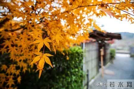 8首寒衣诗词：唯爱与温暖，不可辜负