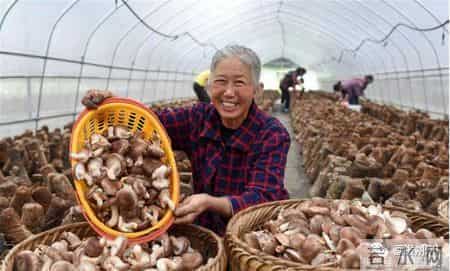 看！这幸福的百元大钞