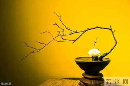 「佳作」灵魂知己，可遇不可求