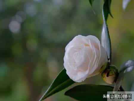 怎样做人,为人处世大全，建议收藏