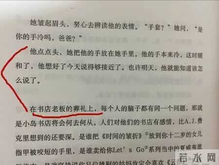 《岛上书店》到底是个什么鬼？