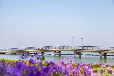 成年人的生活：挑战与自爱的必要性