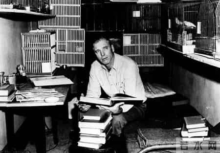 tell me a lie,tell me a lie啊哈我乐在其中伴奏