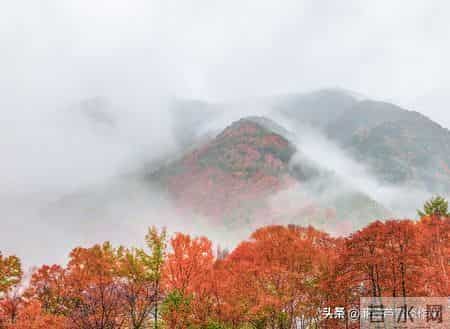 变形记,如何写出故事感——阿宝老师的“作文经”(二二七)