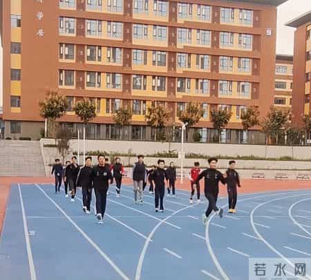 文学社活动计划