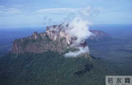 情感爆文：爱，藏在日常生活中点滴的温暖，乐观、爱与当下小确幸