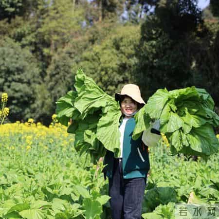 三八节活动方案