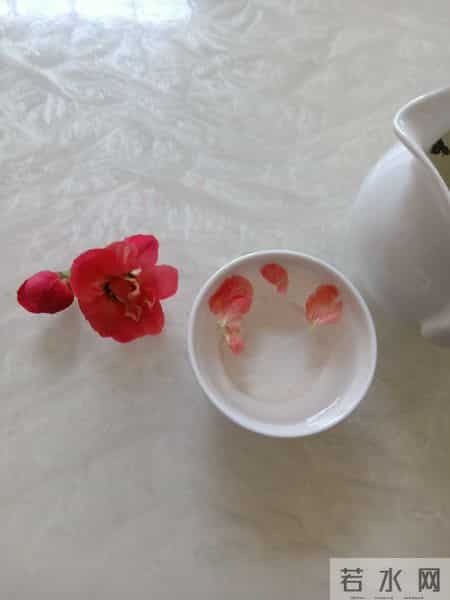 知己作文600字,青未了｜与世无争，岁月安暖（韩絮原创）