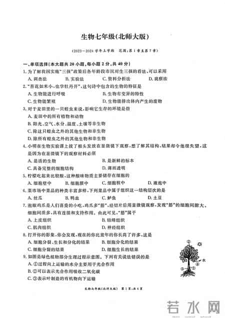 七年级生物下册期末试卷,七年级生物下册期末试卷带答案