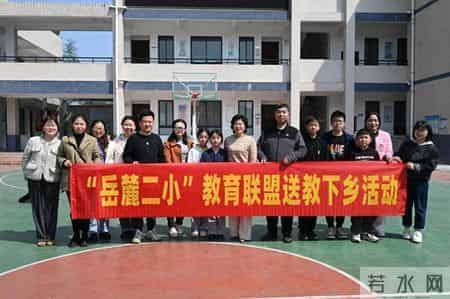 共绘春色传美育 书香浸润少年心——记岳麓二小教育联盟美术教学研讨活动