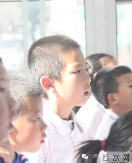 小苗与大树的对话教案,大树与小苗的对话