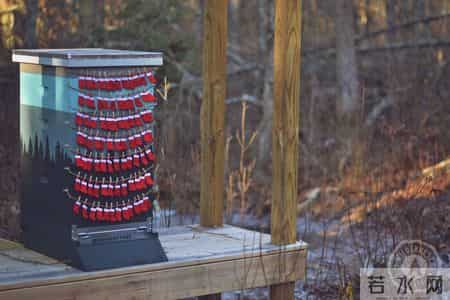 圣诞故事,寒冷的冬天，还好有这一波跟圣诞有关的治愈小故事
