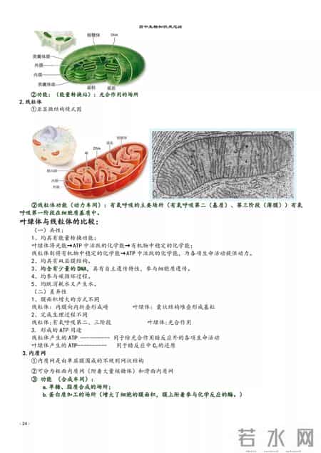 高中生物教学总结