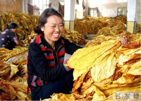 看！这幸福的百元大钞