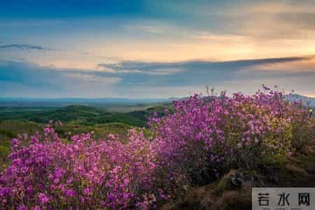 这就是我 初中作文,只要我认定你，你就是我的“永远”