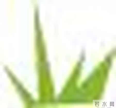 闪亮小主播 - 古诗词赏析：《过零丁洋》