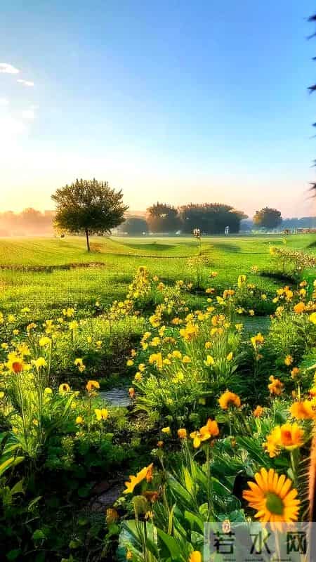 微笑的味道 作文,微笑的味道作文