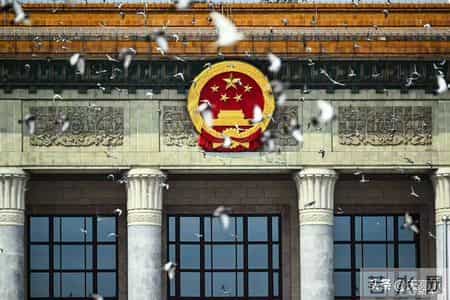 9.3阅兵仪式观后感