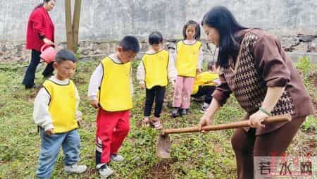 “植”此青绿，“童”护美好——桂阳县人民幼儿园2025年植树节主题活动