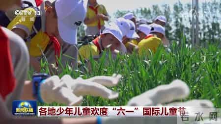 六一儿童节的写话