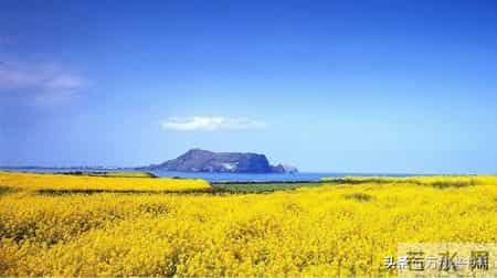 花落有声,「万物兴书斋」王忠敏书法作品鉴赏《流水无意 落花有声》