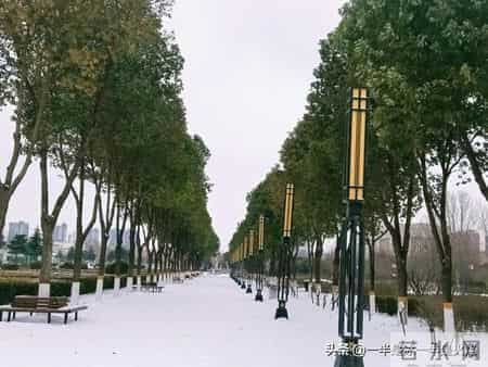 随笔：阅己，越己，悦己