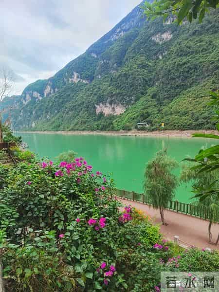 运动，是大脑的“ Miracle-Gro ”（奇迹生长素）。