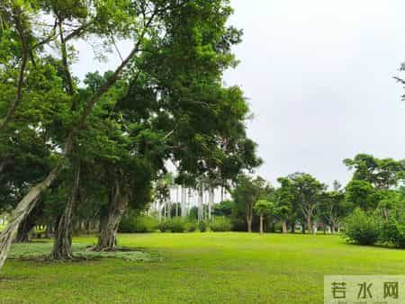 认定一个目标不如说刻意培养一个习惯