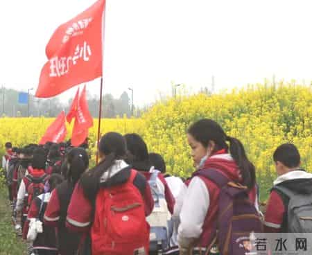 春天的课堂,赏春. 品春. 惜春 ——走进“春天的课堂”