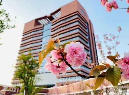 上海三本大学,上海三本大学排名榜