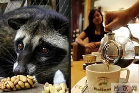 喝了一碗贵州牛瘪汤，味蕾像被野牛施了一泡农家肥