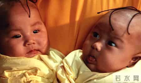 性暗示，官僚讽刺，长大后我才弄明白《三毛从军记》里的那些隐喻