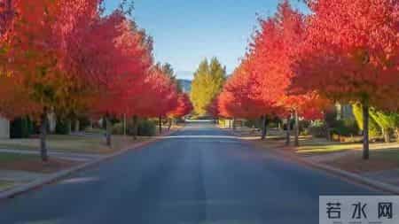 一件小事的启示,一件小事的启示350字