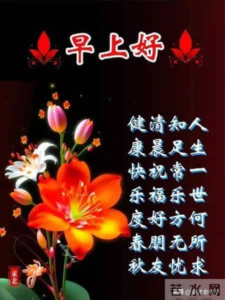 清晨吉祥话祝福语！清晨安康吉祥的早安问候顺心如意瞬间暖到心窝