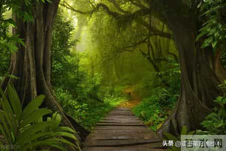 2012年12月英语六级真题,2012年12月大学英语六级真题