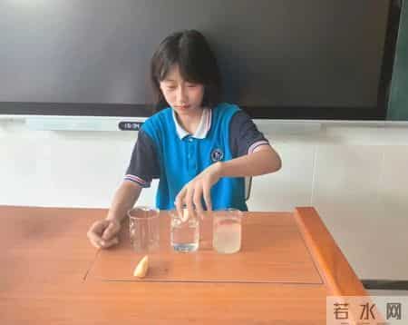 【喜报】数智赋能科学实践 创新点亮教育新篇——我市多校师生在全省创意实践与玩教具展演中斩获佳绩