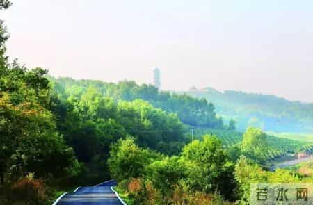 江北地图 - 最全春游打卡地，速度收藏起来！