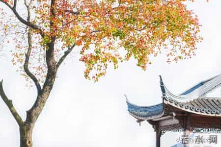 浪淘沙 夜雨,《浪淘沙》十首绝美之作:把酒祝东风,天上人间!你最喜欢哪首?