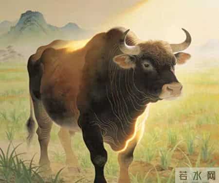 属牛的，你晚年谁陪？我告诉你，是你自己欠下的“账”