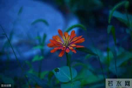 「佳作」灵魂知己，可遇不可求