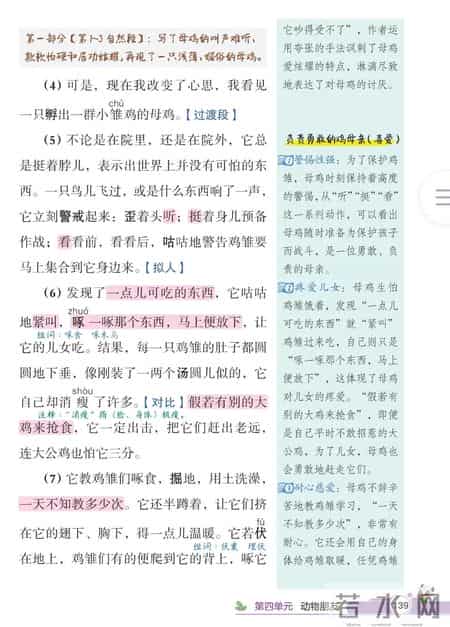 四年级下册语文教学总结,四年级语文下册，第四单元课堂解析+单元知识小结，收藏备用