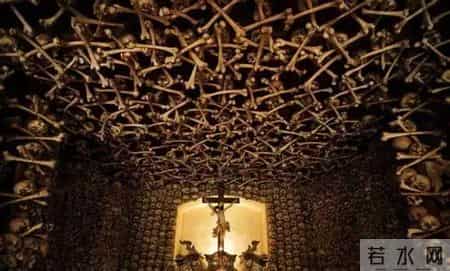 奇闻趣事,奇闻趣事分享