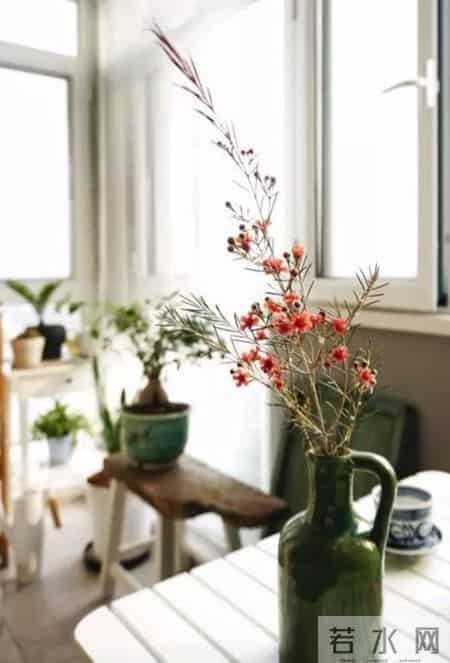 20种花材的插花方法，不会插花看这里