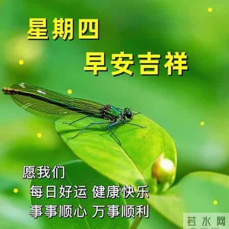 最新早上好祝福每天一句，早安暖心牵挂的句子，吉祥如意伴你左右