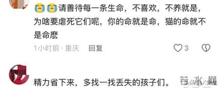 公寓管理员持杆打翻垃圾小猫,杭州虐猫事件后续：五只猫咪遭摔死勒死，警方介入，更多内幕曝光