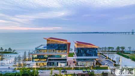 书画展策划书,滨海艺境，岁启新章——青岛滨海国际艺术中心肇啓暨丙午迎春书画展圆满开幕