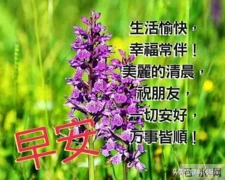 早晨问候朋友的暖心祝福语短信，最美的早安祝福图片