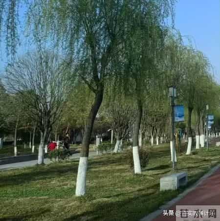 我的暑假生活150字作文,住家保姆的假日，游荡在街头