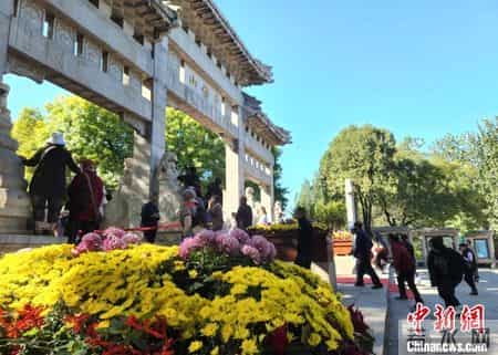 重阳节活动方案策划,重阳节活动方案策划活动内容